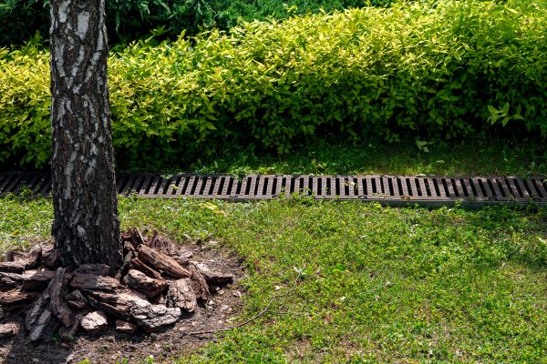 Garden Drainage Installation in West Fargo
