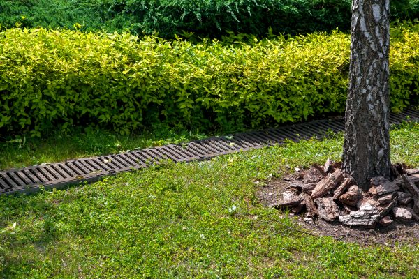 Residential Landscape Drainage in West Fargo