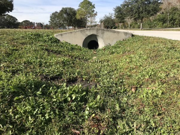 Cost of Swale Drainage Service in West Fargo